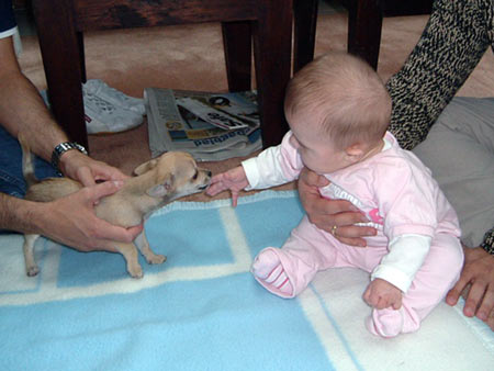Berit meets Chica
